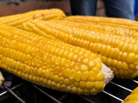 Delicious corn on the cobs roasting on a grill 스톡 사진