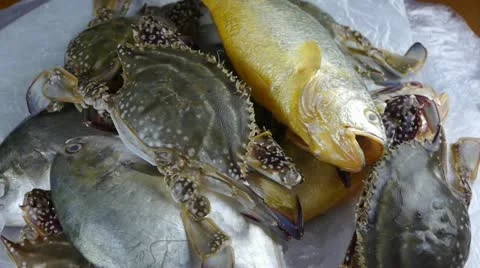 Delicious crab & Croaker Pomfret fish,within dial plate.fisheries ice frozen. Stock Footage