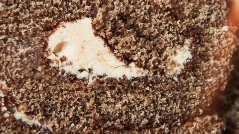 Delicious dessert roll with cream in a cut Stock Footage