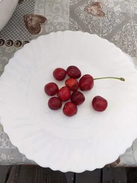 Delicious dishes Stock Photos