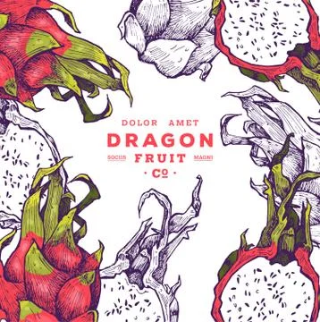 Delicious exotic hand drawn vector fruits Stock Illustration