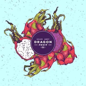Delicious exotic hand drawn vector fruits Stock Illustration