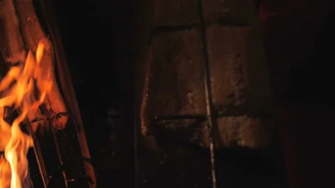Delicious flame salmon on Grill with open fire. Germany Vídeo Stock 98360555
