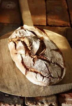 Delicious fresh crusty bread Stock Photos