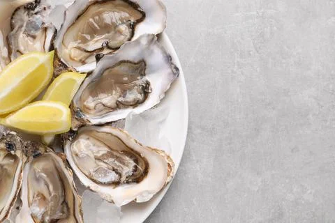 Delicious fresh oysters with lemon slices on light grey table, top view. Spac Stock Photos