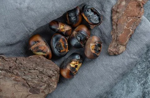 Delicious fried chestnuts on a tree bark Stock Photos