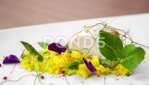 Delicious gourmet food Stock Photos