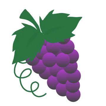 Delicious grape illustration Stock Illustration
