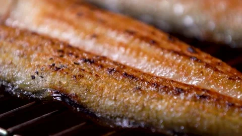 Delicious Grilled Eel Vidéo 331688087