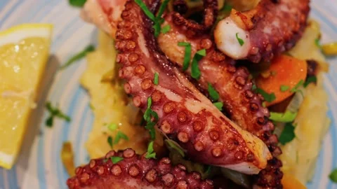 Delicious grilled octopus dish served with mashed potatoes and lemon slice,.. Stock Footage 339652478