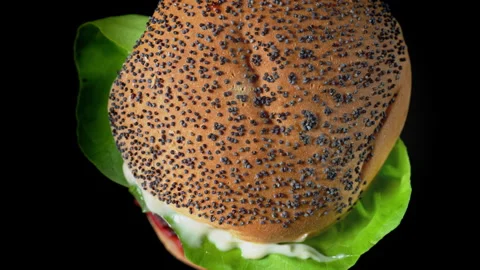 Delicious Hamburger and Double Burger on a Sleek Black Background Indulge in mou Stock Footage 276353076