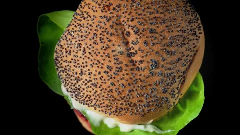 Delicious Hamburger and Double Burger on a Sleek Black Background Indulge in mou Stock Footage 280047448