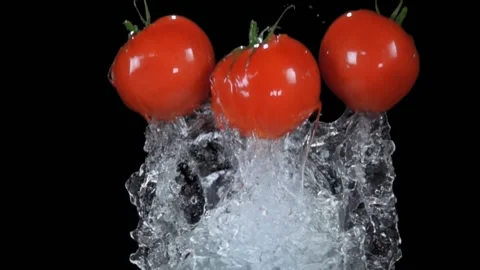 Delicious juicy red tomatoes is bouncing from the water Stock Footage 169812471