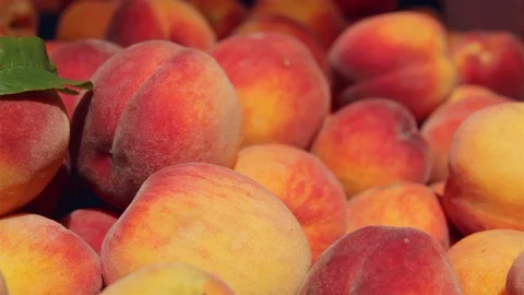 Delicious juicy ripe peaches background Stock Footage