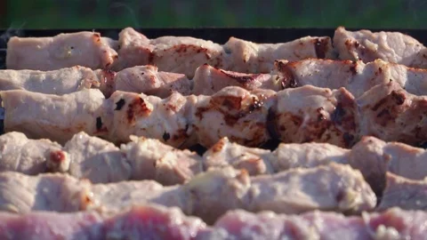 Delicious kebab cooked on the grill close-up Stock Footage 106336771