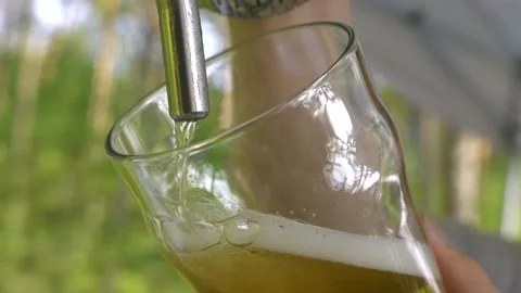 A delicious light drink foams when poured. Preparing for the party. Stock Footage 235528586