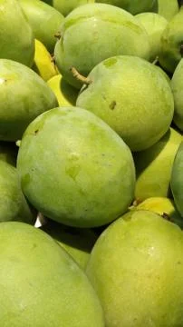 Delicious mango fruit Stock Photos