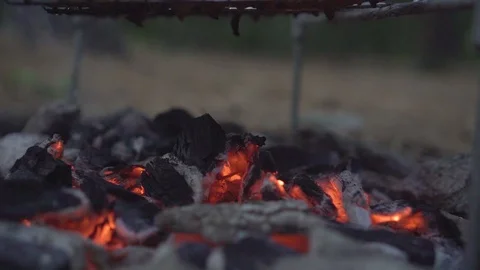Delicious meat in the grid barbecue is prepared on the coals. Stock Footage 116673146