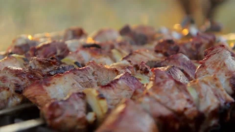 Delicious meat on the grill Stock Footage 130229308