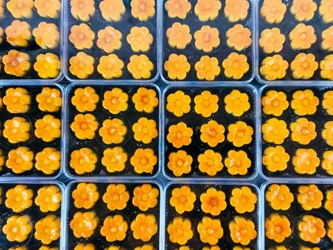 Delicious Nastar cookies with pineapple paste filling inside, and shaped in.. Foto stock