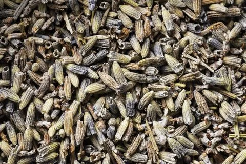 Delicious nutritious food texture composition close up background Foto stock