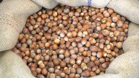 Delicious  Nuts in A Sack Vidéo 121875435