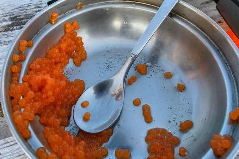 Delicious orange caviar served in a rustic metal dish by the river in Russia Foto stock