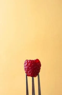 Delicious raspberry on a fork an dark yellow background and copy space on the Stock Photos