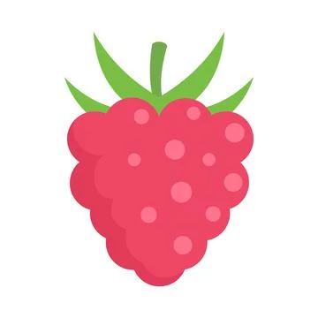 Delicious raspberry icon flat isolated Stock Illustration