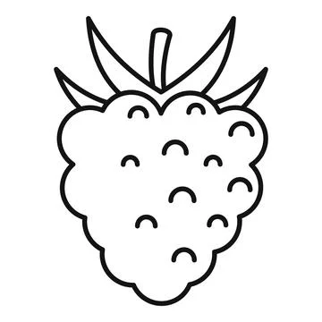 Delicious raspberry icon, outline style 스톡 일러스트