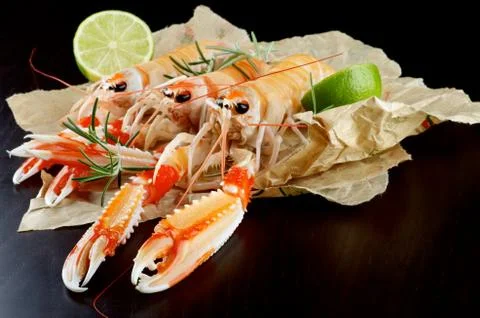 Delicious Raw Langoustines Stock Photos