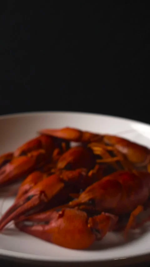 Delicious Red Boiled Crayfish in a White Bowl, Black Background Stock Footage 334037114