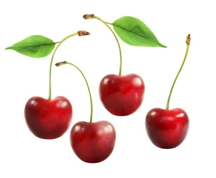 Delicious red cherry Stock Photos