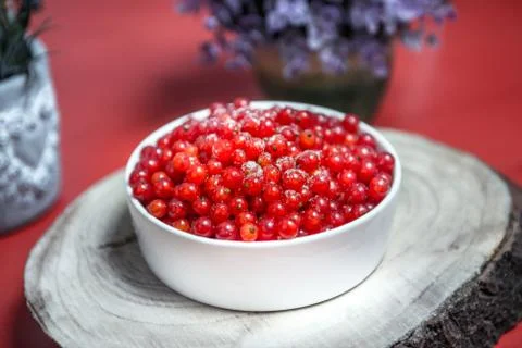 Delicious red currant with sugar Stock Photos