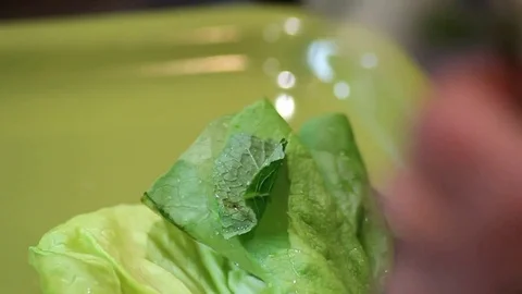 Delicious Salad in the making Stock Footage 75754278