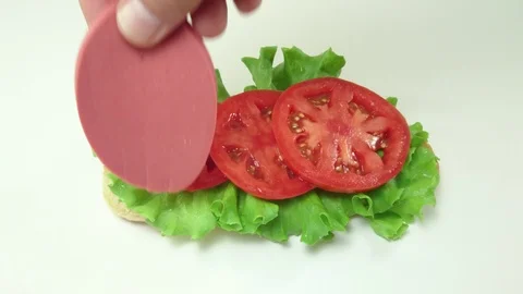 Delicious sandwich with cheese 库存影片 89839784