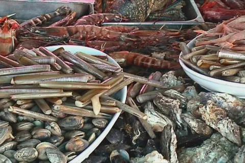 Delicious shellfish Stock Footage 102363