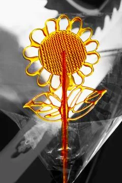Delicious solar candy Stock Photos