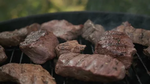 Delicious steaks on a charcoal grill Stock Footage 201021803