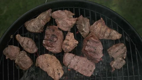Delicious steaks on a charcoal grill Stock Footage 201021865