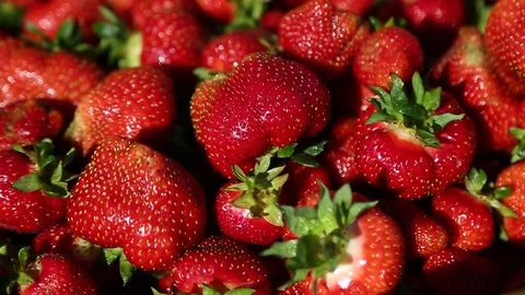 Delicious Strawberries Stock Footage 94337775