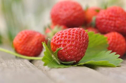 Delicious strawberry Stock Photos