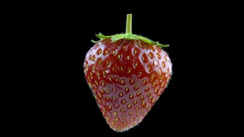 Delicious strawberry rotates on a black background Stock Footage 111732467