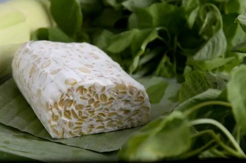 Delicious tempe Stock Photos