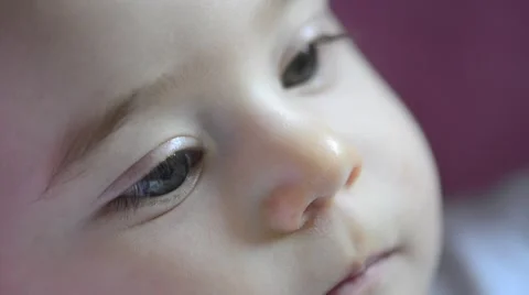 Delicious Toy Stock Footage 47939461