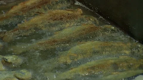 Delicious trout fish is baking in the oven with lemon, tomatoes and spices Stock Footage 90686472