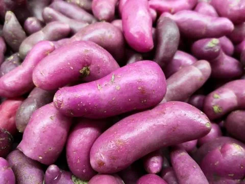 Delicious ullucos. Typical root vegetable in South America Fotos de archivo