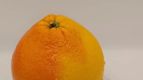 A delicious whole grapefruit Stock Footage 330969817