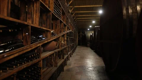 Delicious wine cellar 1 Stock Footage 319501979