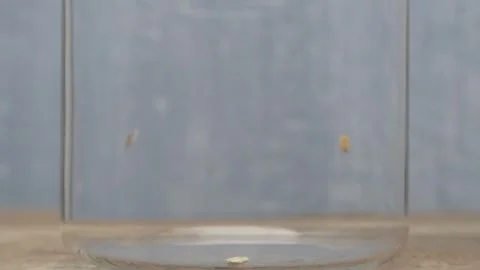 Deliciously Healthy Oats Falling Elegantly into a Rustic Jar, A Perfect Видео 288580917